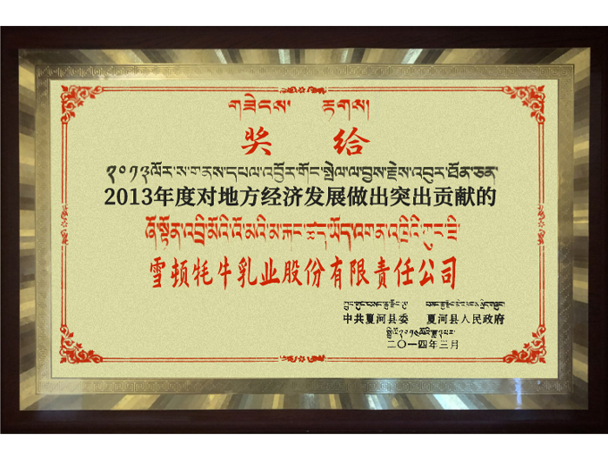 2013年度對地方經濟發展做出突出貢獻企業